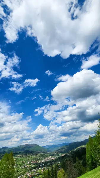 Yeşil orman ve mavi gökyüzü ile güzel bir manzara.