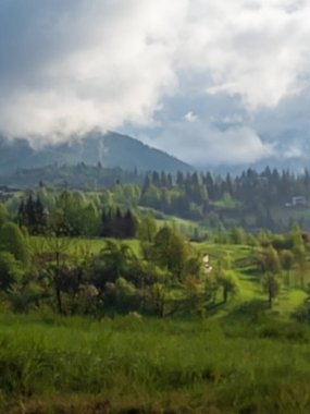 Yeşil çimenli güzel dağ manzarası
