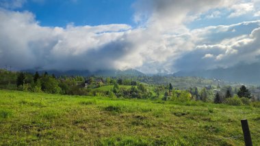 Yazın Karpat Dağları 'nda yeşil çimenleri olan güzel dağ manzarası