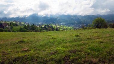 Karpatlar 'daki güzel yeşil çayır