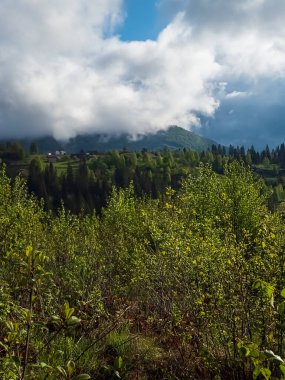 Karpatlar sonbaharda