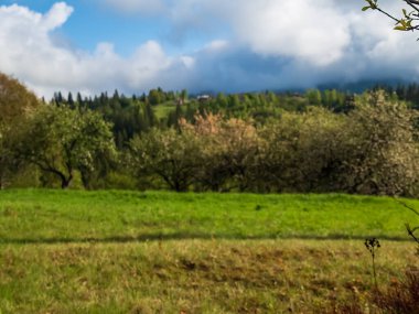 Yeşil ağaçları ve mavi gökyüzü olan güzel bir manzara.