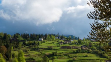 Bulutlu bir günde yeşil çimenler ve dağlar