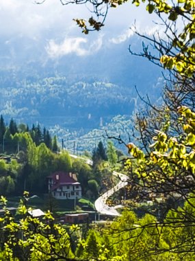 Ağaçlar ve yapraklarla dolu güzel sonbahar manzarası