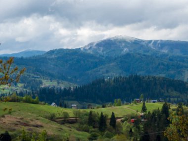 Romanya 'nın Karpat Dağları' ndaki güzel bir dağ manzarası