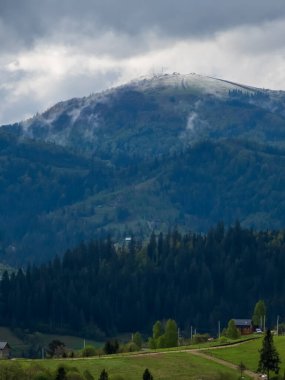 Önünde orman olan güzel bir dağ manzarası. Karpat Dağları, yazın.