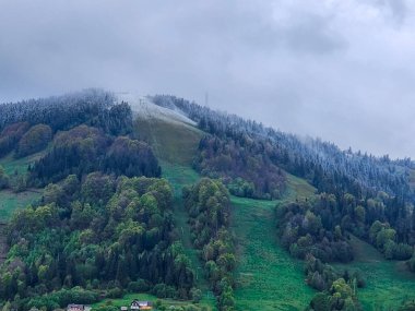 Karpatya, Romanya 'da güzel bir dağ manzarası