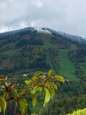 Dağlardaki dağ manzarası, orman ve arka planda bulutlu bir gökyüzü.