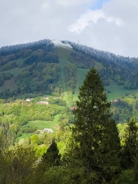 Ukraynalı Karpatların dağlarına bakın.