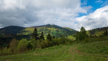 Mavi gökyüzü ile yeşil dağ çayırı