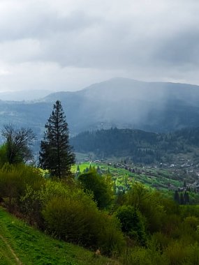 Dağlardaki yeşil vadinin güzel manzarası