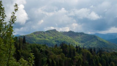 Ağacı ve dağı olan güzel bir manzara.