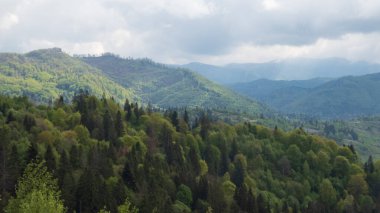 Yazın Karpatlar 'da dağlar..