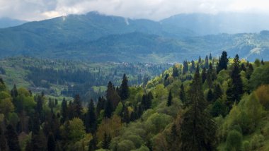 Doğanın güzel manzarası