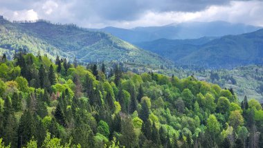Ormandaki dağ sırasının güzel manzarası