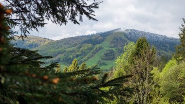 Ormandaki bir dağ sırasının güzel manzarası