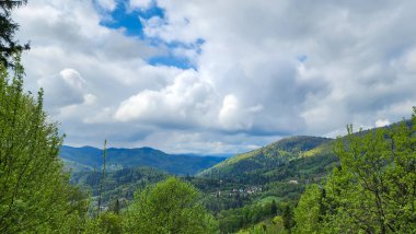Karpat dağlarında güzel bir yaz manzarası
