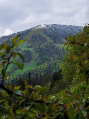 Karpat dağlarındaki dağ manzarası