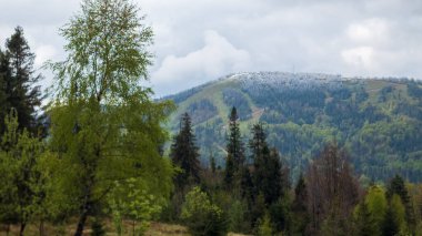 Karpatlar 'da dağ manzarası