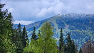 Yeşil ağaçlı güzel dağ manzarası