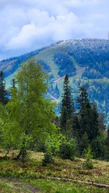 Arkaplanda güzel bir dağ manzarası