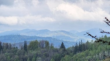 Dağ sırası olan güzel bir manzara.