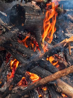 Yakacak odunların yakın plan çekimi.