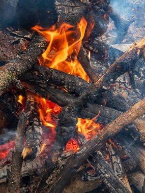 Ormanda şenlik ateşi