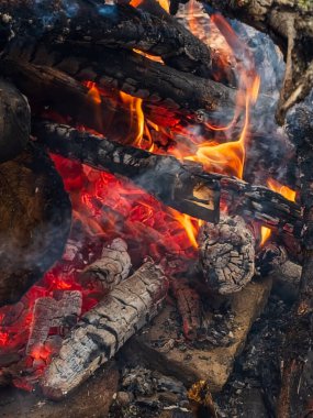 Ormanda yanan odunla şenlik ateşi