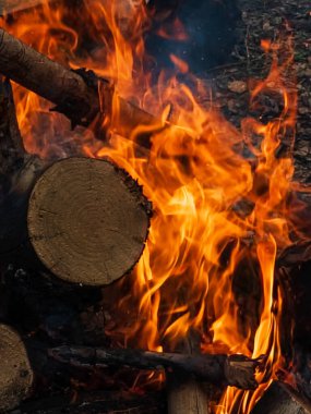 Ormanda yanan ateşin dikey bir fotoğrafı..