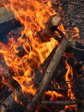 Akşamları yanan kamp ateşi.