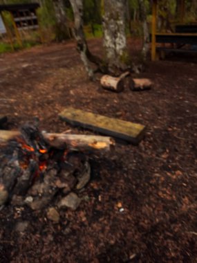 Ormanda şenlik ateşi