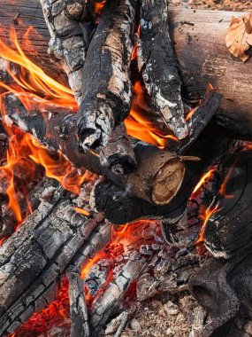 Ormanda yangın, ahşap arka plan. Ormanda yangın.