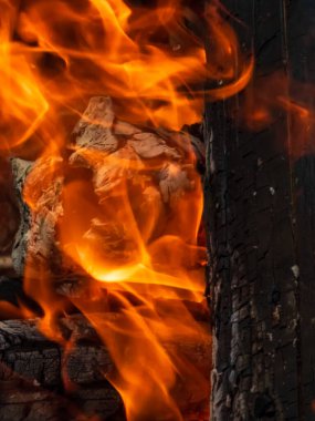 Şöminede yanan odun..