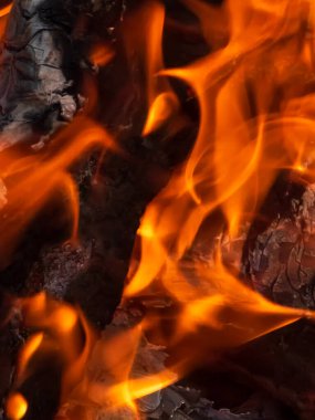 alev alev dokusu arkaplanı