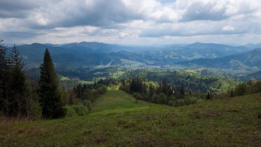 Dağda yaz manzarası