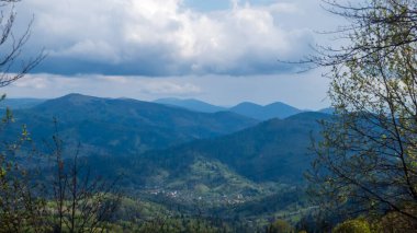 Ormandaki Carpatian Dağları
