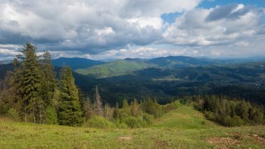 Arkasında bir dağ olan güzel bir manzara.