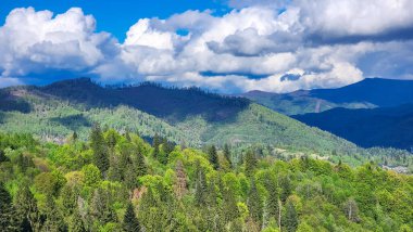 Orman ve mavi gökyüzü arkaplanlı güzel dağ manzarası
