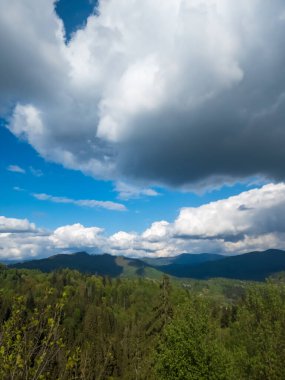Karpatlar 'ın dağlarındaki güzel dağ manzarası