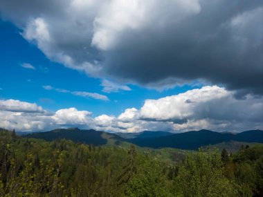 Karpat Dağları bahar zamanı