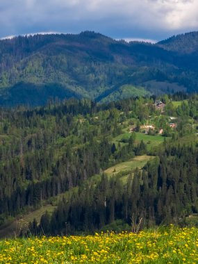 Karpat dağlarında ilkbahar