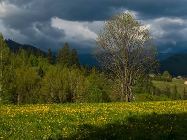 Dağların güzel manzarası
