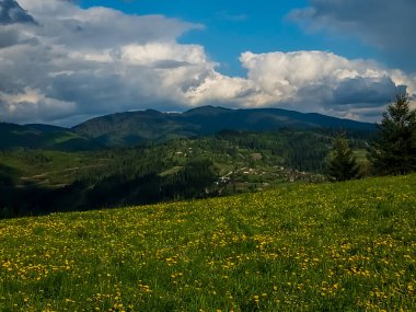 Yazın güzel Karpat dağları manzarası
