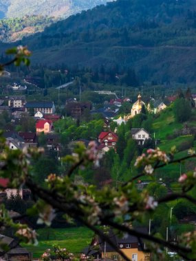 Köyde bahar manzarası