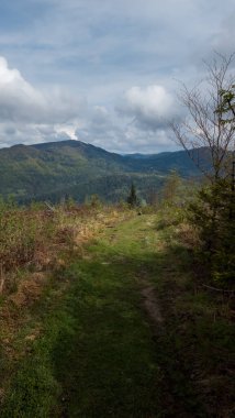 Dağlardaki ormanın güzel bir görüntüsü.