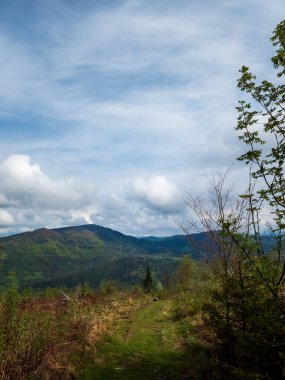 Doğanın güzel manzarası