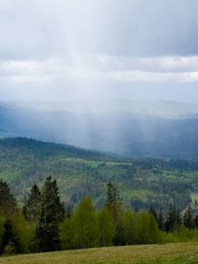 dağlar yeşil çayır