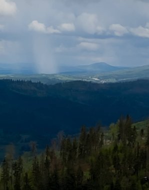 Dağın tepesinden manzara, Ukrayna 'daki Karpat Dağları