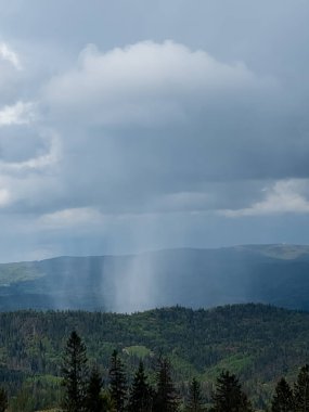 Ormanda Yağmur Bulutları